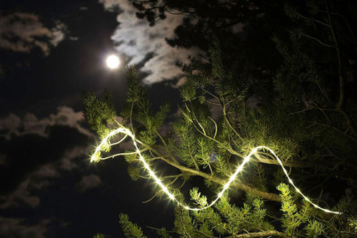 ҪԴĵơthe Luminoodle