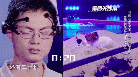 挑战不可能浙大学霸成功挑战脑电波操控小白鼠走迷宫