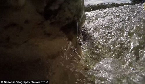 GoPro¼Ե