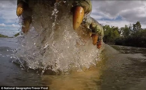 GoPro¼Ե