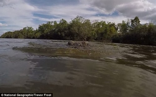 GoPro¼Ե